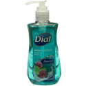 Dial Hand Soap